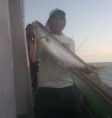 /album/galeria-de-fotos/a28-jpg/