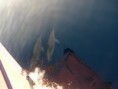 /album/galeria-de-fotos/a61-jpg/