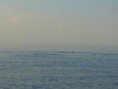/album/galeria-de-fotos/a73-jpg/