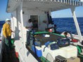 /album/galeria-de-fotos/a21117-373437952765285-2139694288-n-jpg/