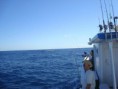 /album/galeria-de-fotos/a31014-373437776098636-1649109888-n-jpg/