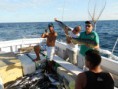 /album/galeria-de-fotos/a922979-377086299063734-610084552-n-jpg/